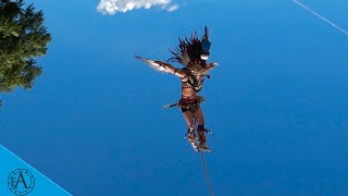 LA DANZA MÁS INCREIBLE DE MÉXICO quotDANZA DE LOS VOLADORESquot DANZA RITUAL MILENARIA [upl. by Demy]