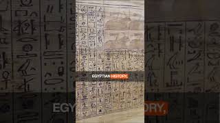 Unlocking Secrets of The Book of the Dead 📜 TheBookOfTheDead AncientEgypt Shorts [upl. by Novonod]