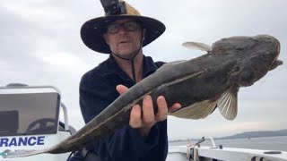 Fishing for Jewfish and Flathead Lake Macquarie [upl. by Nerrak]