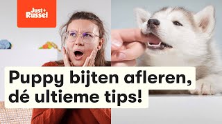 Puppy bijten afleren dé ultieme tips [upl. by Orat805]