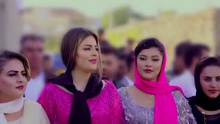 Best Kurdish dance 2024 by Farshad Amini  Best kurdish wedding 2024 [upl. by Shena838]