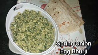 Spring Onion Egg Bhurji  Egg Bhurji with Spring Onion [upl. by Mercuri136]