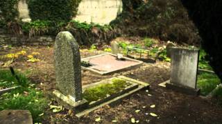 St Nahis Graveyard Taney Dundrum The unoffical tour [upl. by Okubo221]