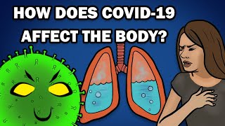 HOW DOES COVID19 AFFECT THE BODY [upl. by Acissj]