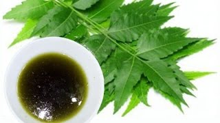 How to make Neem Oil easily [upl. by Waxman832]