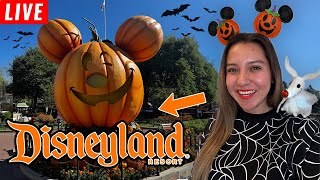 🔴 LIVE AT DISNEYLAND IT’S OFFICIALLY SPOOKY SEASON Walking and Chatting 🎃👻 [upl. by Gerik]