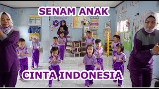 Senam CINTA INDONESIA [upl. by Raymonds]