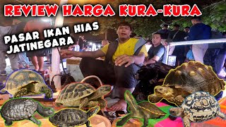 REVIEW HARGA KURAKURA di PASAR IKAN HIAS JATINEGARA  SULCATA REDFOOT DAN PARDALIS ADA DISINI [upl. by Cherey857]