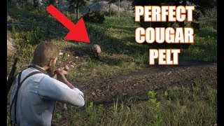 Red Dead Redemption 2  Perfect Cougar Pelt Location [upl. by Eelrihs]