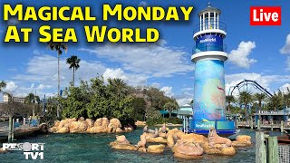 🔴Live Magical Monday at Sea World  Walt Disney World Live Stream  31124 [upl. by Esinert]