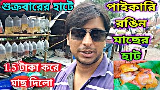 Ankurhati Fish Pet Market  Aquarium Fish Price Update  Howrah Fish Market  Pet Market [upl. by Airetak]