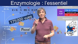 Enzymologie  lessentiel de ce quil faut en savoir [upl. by Javed]