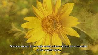 The golden Middle and soul words and singing for Mama Gaia with English subtitles [upl. by Einaffit317]