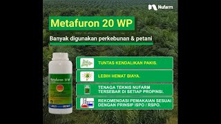 Metafuron 20W Herbisida Spesialis Untuk Gulma PakisPakisan [upl. by Atnamas]