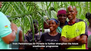 Empowering smallholders in Ghana [upl. by Wendie]