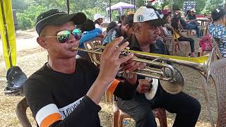 Extremely Powerful Papare Music  Live Cricket Match  Colombo Papare Band  Cricket Papare Music 🎺 [upl. by Annad]