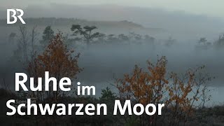 Unberührte Landschaft Das Schwarze Moor in der Rhön  Zwischen Spessart und Karwendel  KurzDoku [upl. by Laband]