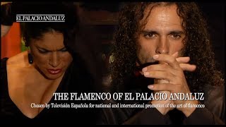 Flamenco Show  Tablao Flamenco El Palacio Andaluz [upl. by Zaraf125]