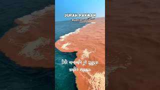 Surah rahman ayat 1920  surah arrahman islamicshortsvideos islamic shorts trending [upl. by Mehs935]