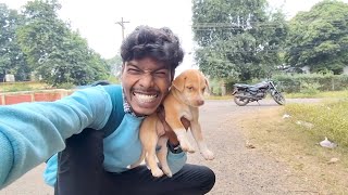 Celebrating 1000 Subscribers A Heartfelt Thank You 😍vlog youtube viralvideo shyamrao [upl. by Field]