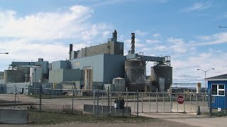 United Steelworkers looking for answers regarding Terrance Bay Pulp Mill shutdown [upl. by Aynor]