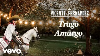 Vicente Fernández  Trago Amargo LetraLyrics [upl. by Ellehcear36]