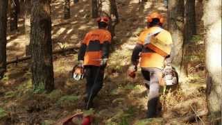 Clip 14  USO in SICUREZZA delle ATTREZZATURE COMPLEMENTARI [upl. by Eniamirt]