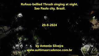 Rufousbellied Thrush singing at night in SPaulo city Brazil by Antonio Silveira [upl. by Aistek]