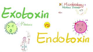 Exotoxins vs Endotoxins  Microbiology 🧫 amp Infectious Diseases 🦠 [upl. by Gorrian]