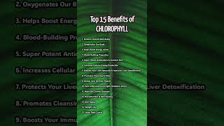 Top 15 Benefits of CHLOROPHYLL health facts antioxidants chlorophyll oxygen antiaging [upl. by Honora18]