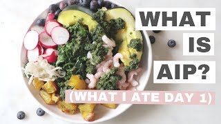 AIP Diet  What is the Autoimmune Protocol  What I ate AIP Day 1 [upl. by Malka326]