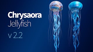 Unity Asset Jellyfish Chrysaora [upl. by Aala191]