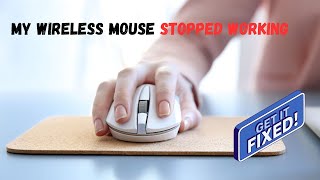 🐁My wireless mouse stopped working🐁 here is how to fix [upl. by Kiefer]