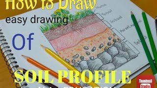 soil profile drawinghow to draw soil profile easy drawingdigaram of soil profile [upl. by Aileve]