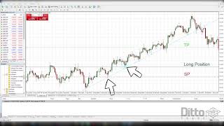 Use Fractals To Pinpoint Reversals In Forex [upl. by Grodin]