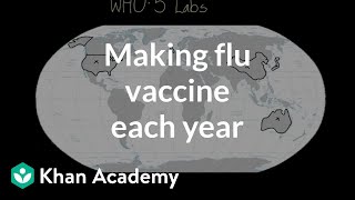 Making flu vaccine each year  Infectious diseases  Health amp Medicine  Khan Academy [upl. by Elleynod454]