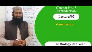 Biology Ch18Lecture07 Vernalization FSc 2nd Year [upl. by Shah]