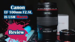 Canon EF 100mm F28L IS USM Macro Lens [upl. by Bergstein]