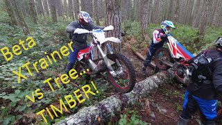 Beta XTrainer 300 vs Tree TIMBER [upl. by Adamik15]