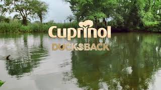 Cuprinol Ducksback Theres more to life outdoors [upl. by Hsivat184]