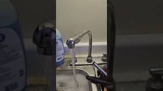 Kitchen faucet gone bad [upl. by Honig]