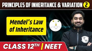 Principles of Inheritance amp Variation 02  Mendels Law of Inheritance  Class 12thNEET [upl. by Abigail]