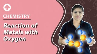 Reaction of Metals with Oxygen  Chemistry [upl. by Anilahs353]