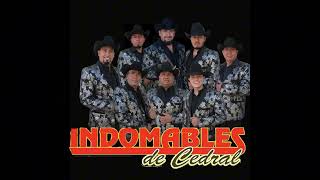 Los Indomables De Cedral  La Escuadra 2024  Voz Obed Saldaña [upl. by Hairahs228]