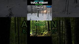 TAIGA in HINDI ampURDUTAIGA is the largest boreal forest on earth which larger than Amazon [upl. by Galitea]