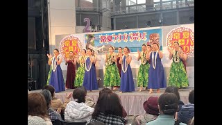 「真冬の常夏アロハ祭り2024」 [upl. by Brenda]