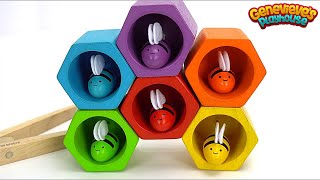 Preschool Learning Video with Lots of Fun Educational Toys [upl. by Ettedranreb321]