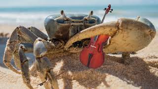 Crab Rave but its Classical music [upl. by Uoliram]