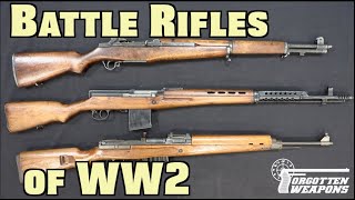 Battle Rifles of World War Two Overview [upl. by Neom177]