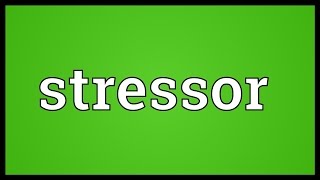 Stressor Meaning [upl. by Klingel]